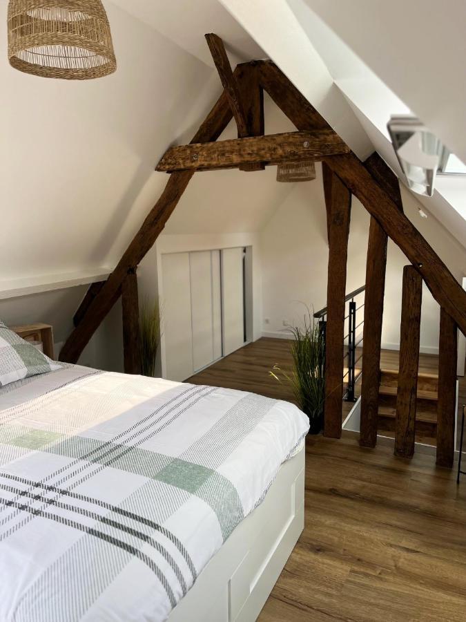 Le Duplex Appartement Auxerre Buitenkant foto